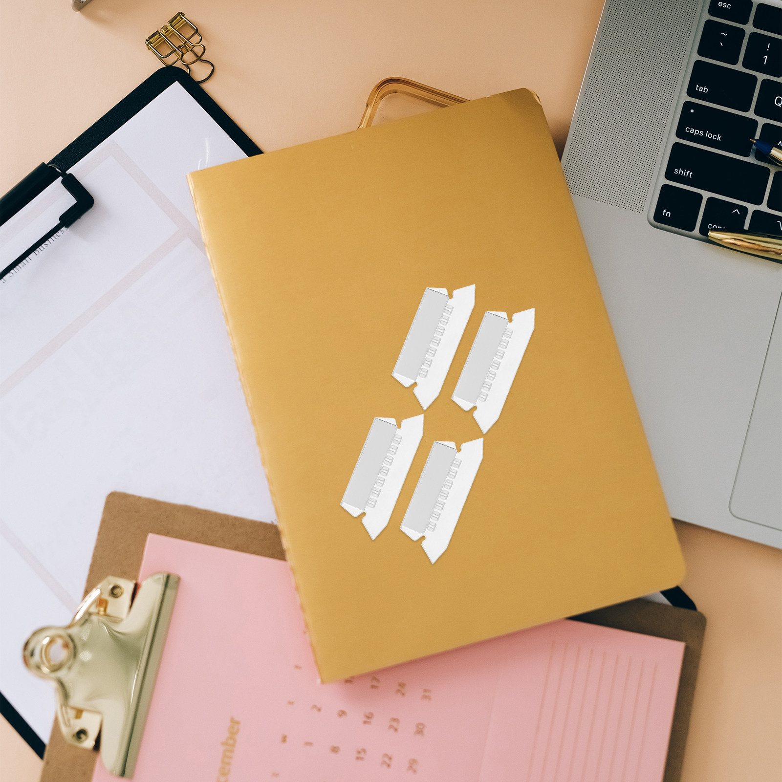 100 ชิ้น แผ่นแท็บใส่แฟ้มแบบแขว - File Folder Hanging บทวิจารณ์และราคา